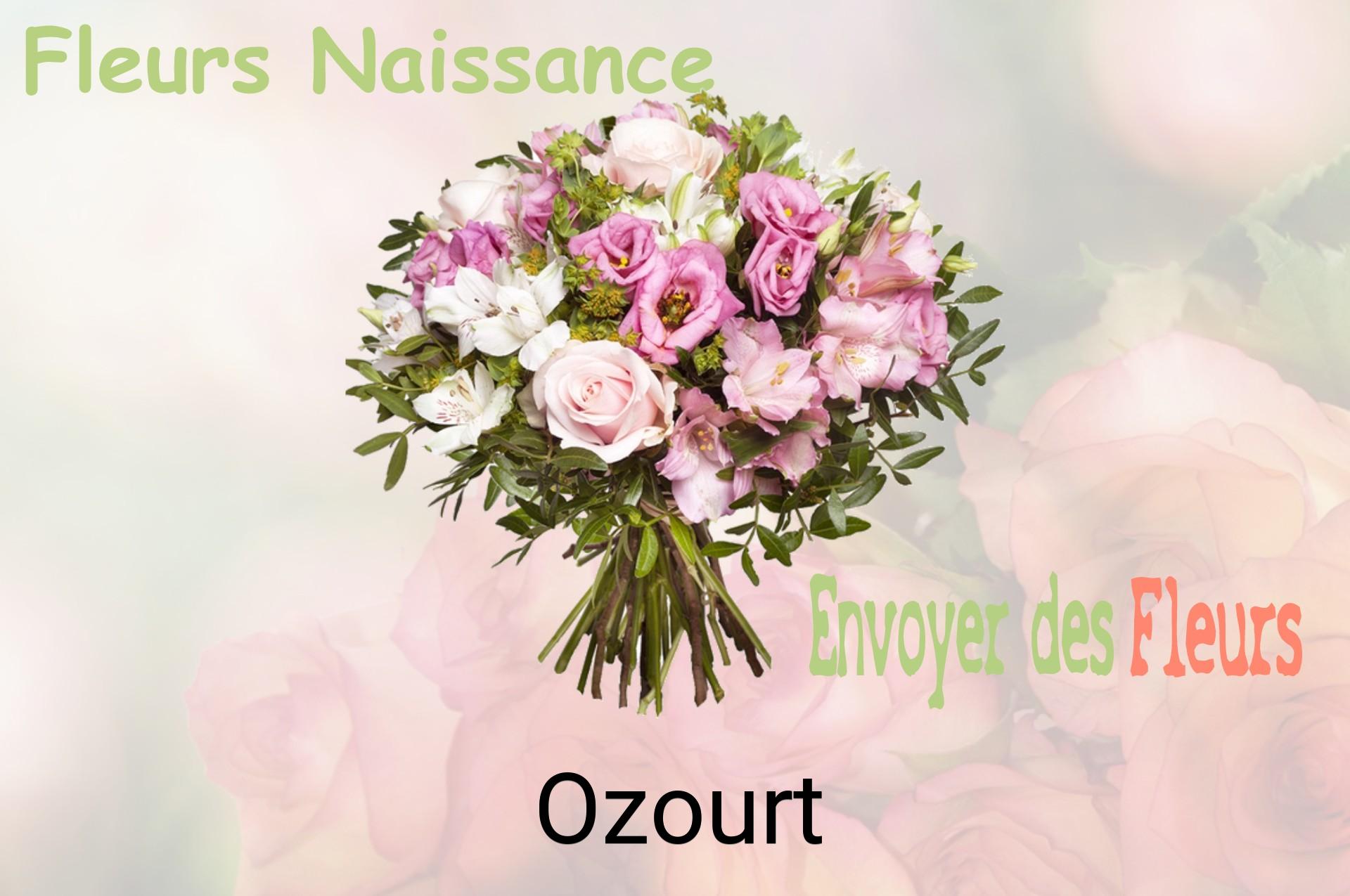 Bouquet de fleurs de naissance livré à Ozourt
