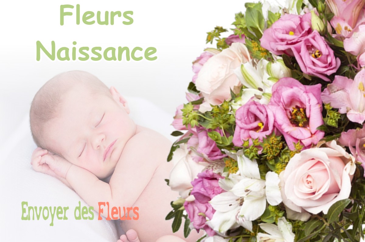 lIVRAISON FLEURS NAISSANCE à OZOURT